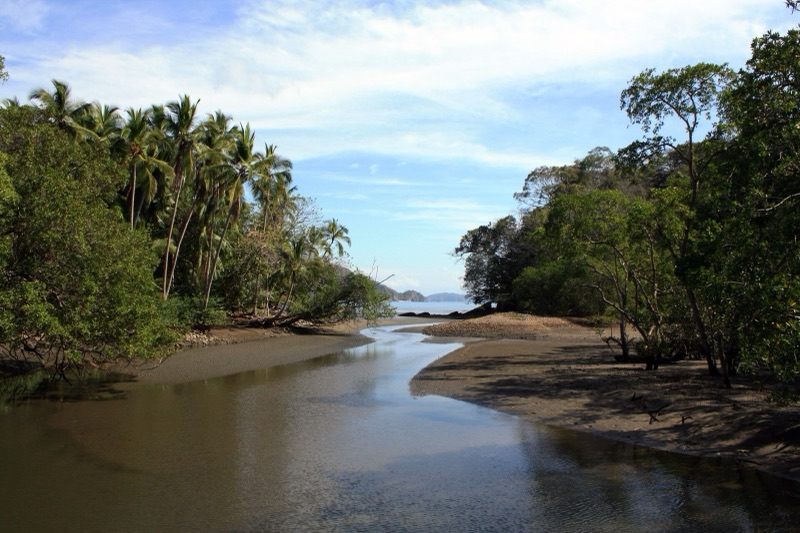 Palm-lined estuary at Curú Wildlife Refuge